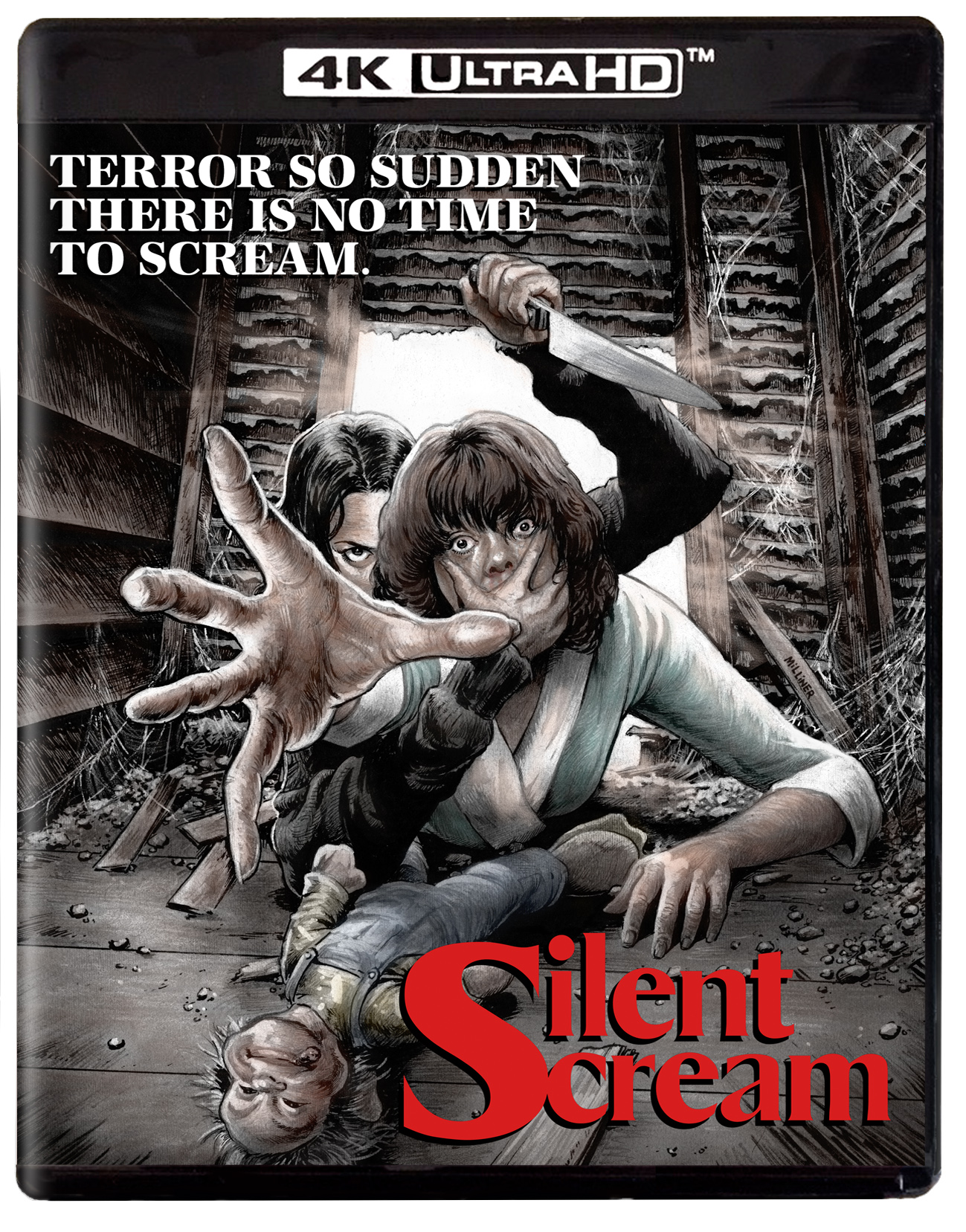 Silent Scream (Kino) (4k UHD / Blu-Ray)