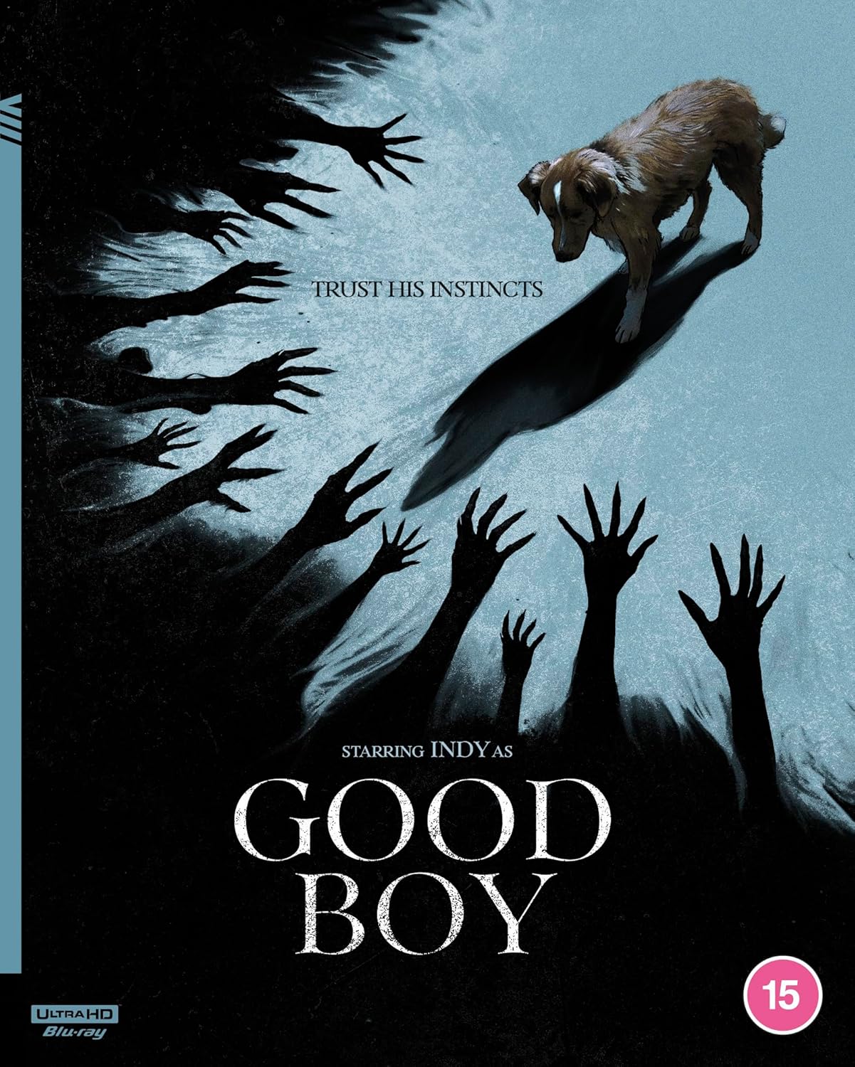 (UK UHD) Good Boy (4k UHD All Region)